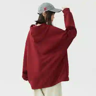 S.view Hoodie