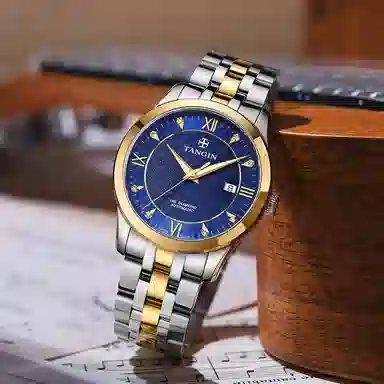 TANGIN 18K 41mm T3025GYBJB