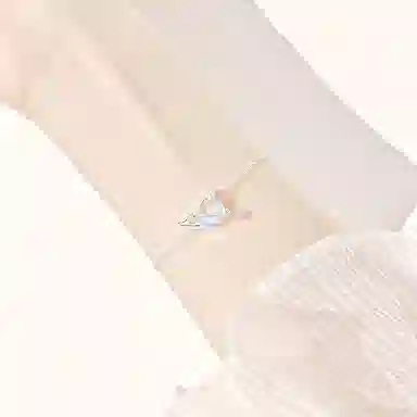 LUCKY ZHY S925