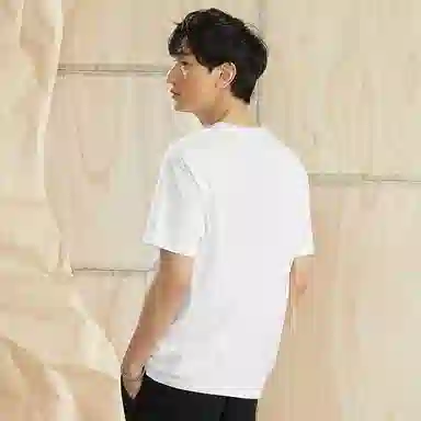 Dickies SS22 T
