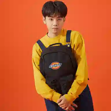Dickies 100
