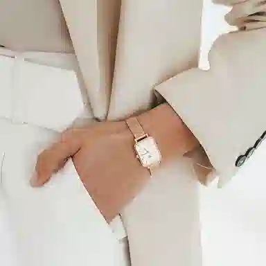 Daniel Wellingtondw 20*26mm 30 DW00100431