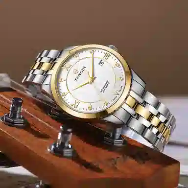 TANGIN 18K 41mm T3025GYWJB