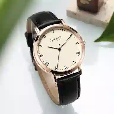 JULIUSJL 1365A1365B