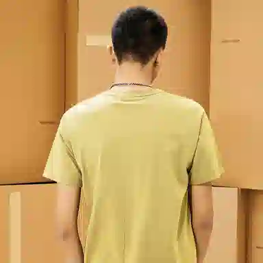 Dickies LogoT