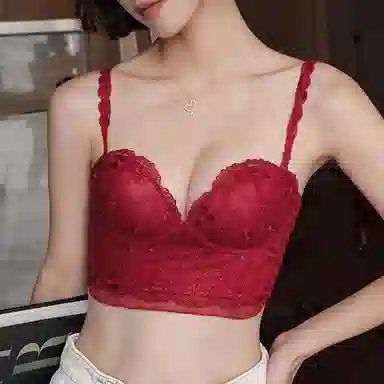 内在密码 纯色蕾丝小胸聚拢防下垂收副乳胸罩无钢圈文胸