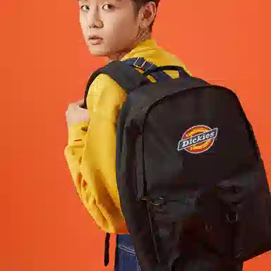 Dickies 100
