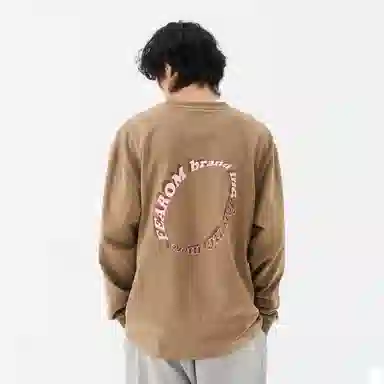 FEAROM T