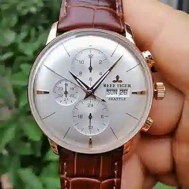 REEF TIGER RGA1699-PJBZ