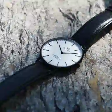 TIANWANG TWINKLE 3851B