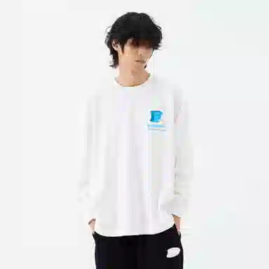 FEAROM T