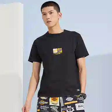 Dickies SS22 logoT