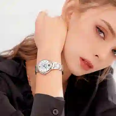 POSCER ins 50113L.WWW