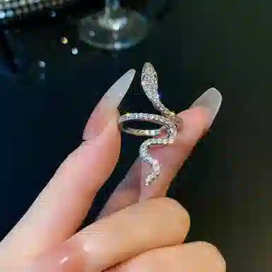 指尖瑰宝 设计感冷淡风 蛇形轻奢微镶满钻 生肖蛇满钻 戒指 女款