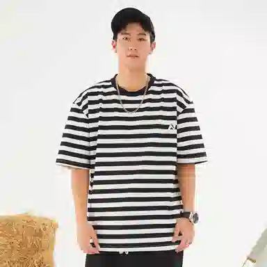 STANAIR T