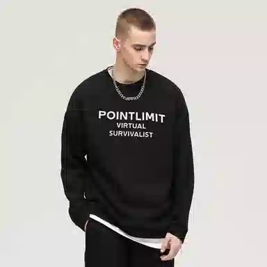 POINTLIMIT Logo