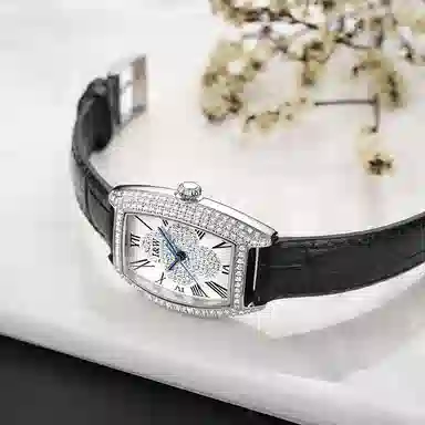 IW CARNIVAL HWGUOJI DW8581L