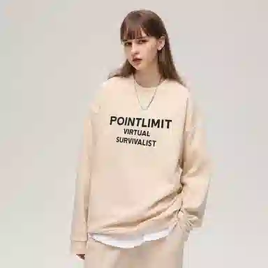 POINTLIMIT Logo