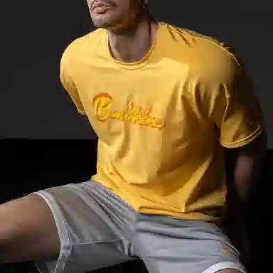 Monster Guardians x TRANSFORMERS T