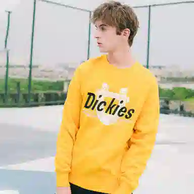 Dickies Logo