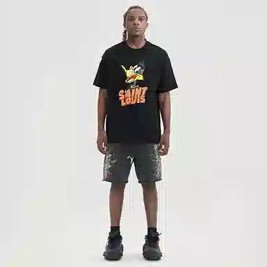 SSSAINT LOUIS the DUCKT