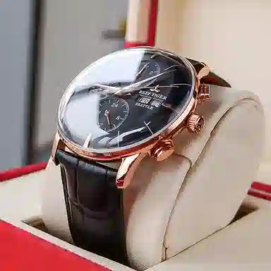 REEF TIGER RGA1699-PJHH