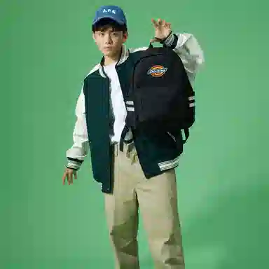 Dickies 100
