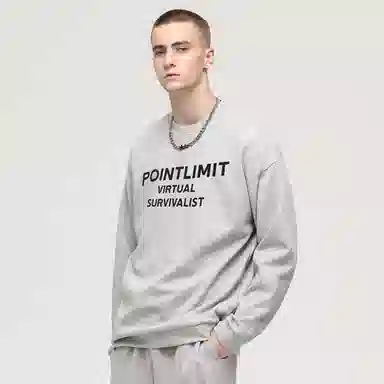 POINTLIMIT Logo