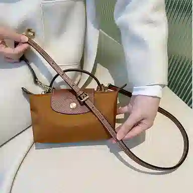 Longchamp Mini Bag Strap Brown