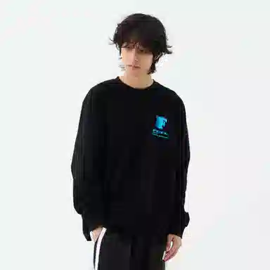 FEAROM T