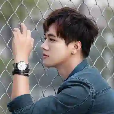 TIANWANG TWINKLE 3851B