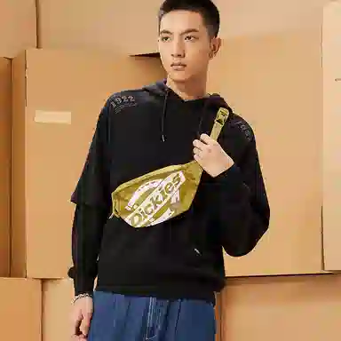 Dickies Logo