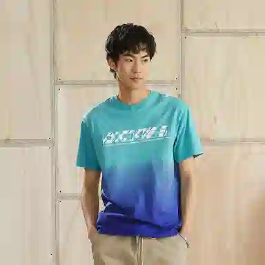 Dickies SS22 logoT
