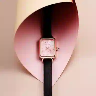 JULIUS JL ins JW1-255A