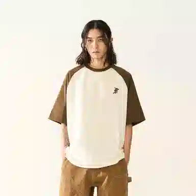 FEAROM T