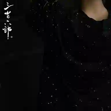 Sanshengliubu Star Embroidery Tee