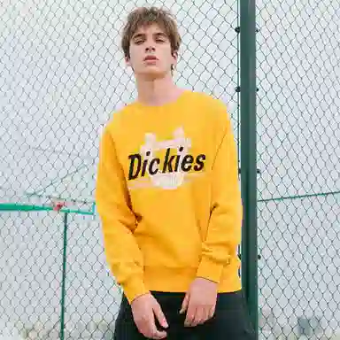 Dickies Logo