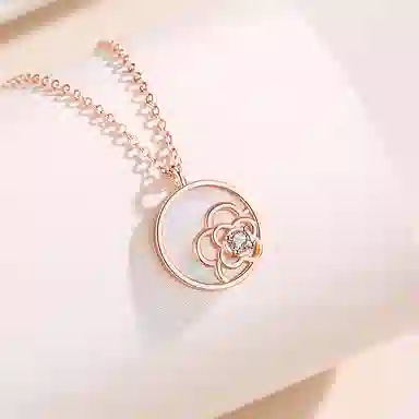 PRP S925