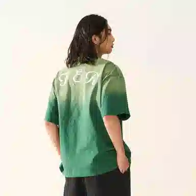 FEAROM T