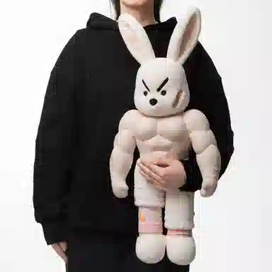 Wentongzi Plush Doll