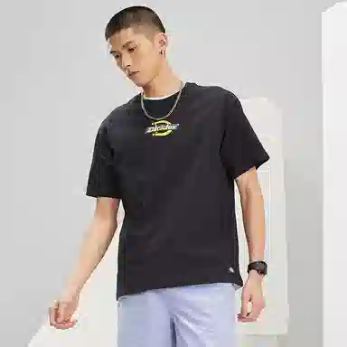 Dickies SS22 logoT