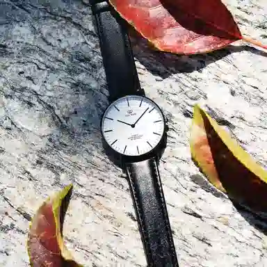 TIANWANG TWINKLE 3851B