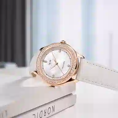 IW CARNIVAL HWGUOJI DW8593L