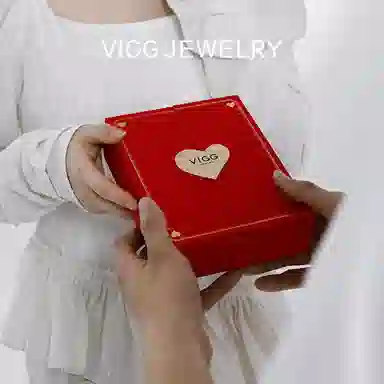 VIGG s925