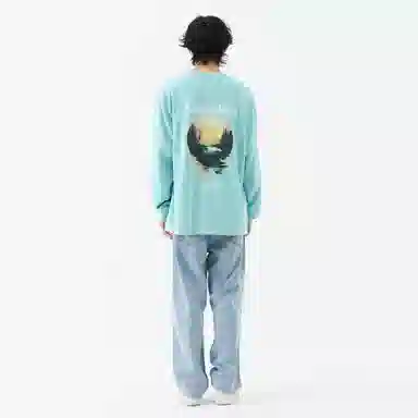 FEAROM T