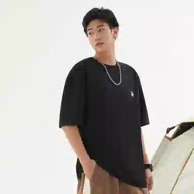 STANAIR Logo T