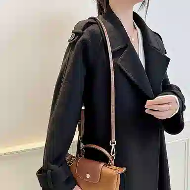 Longchamp Mini Bag Strap Brown