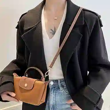 Longchamp Mini Bag Strap Brown