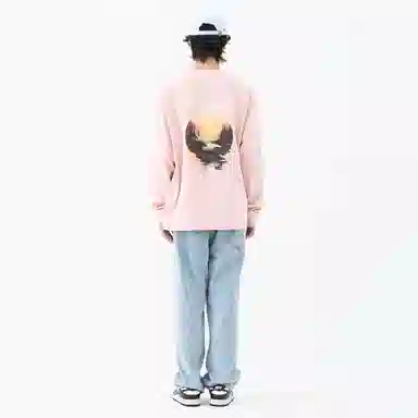 FEAROM T