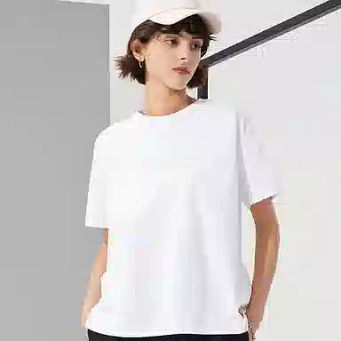 Dickies logoT